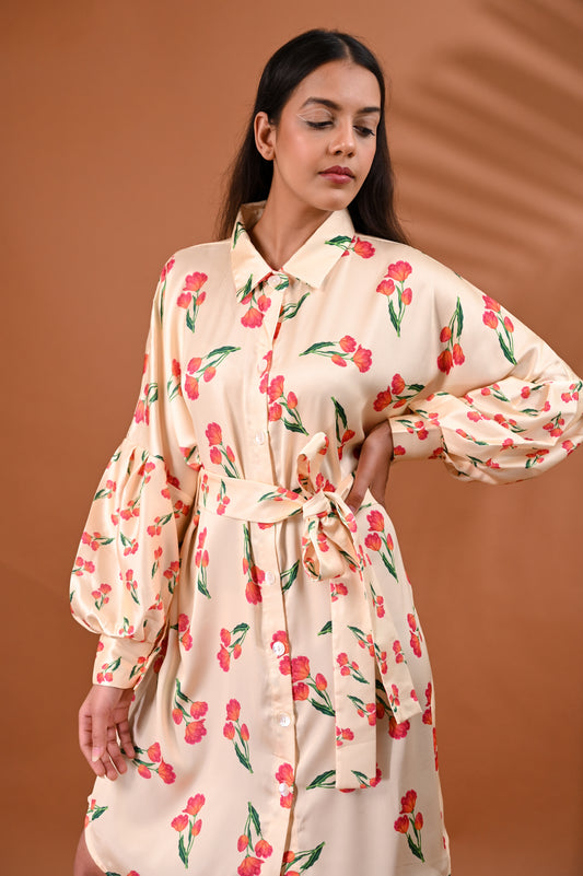 Iris Belt Shirt Dress